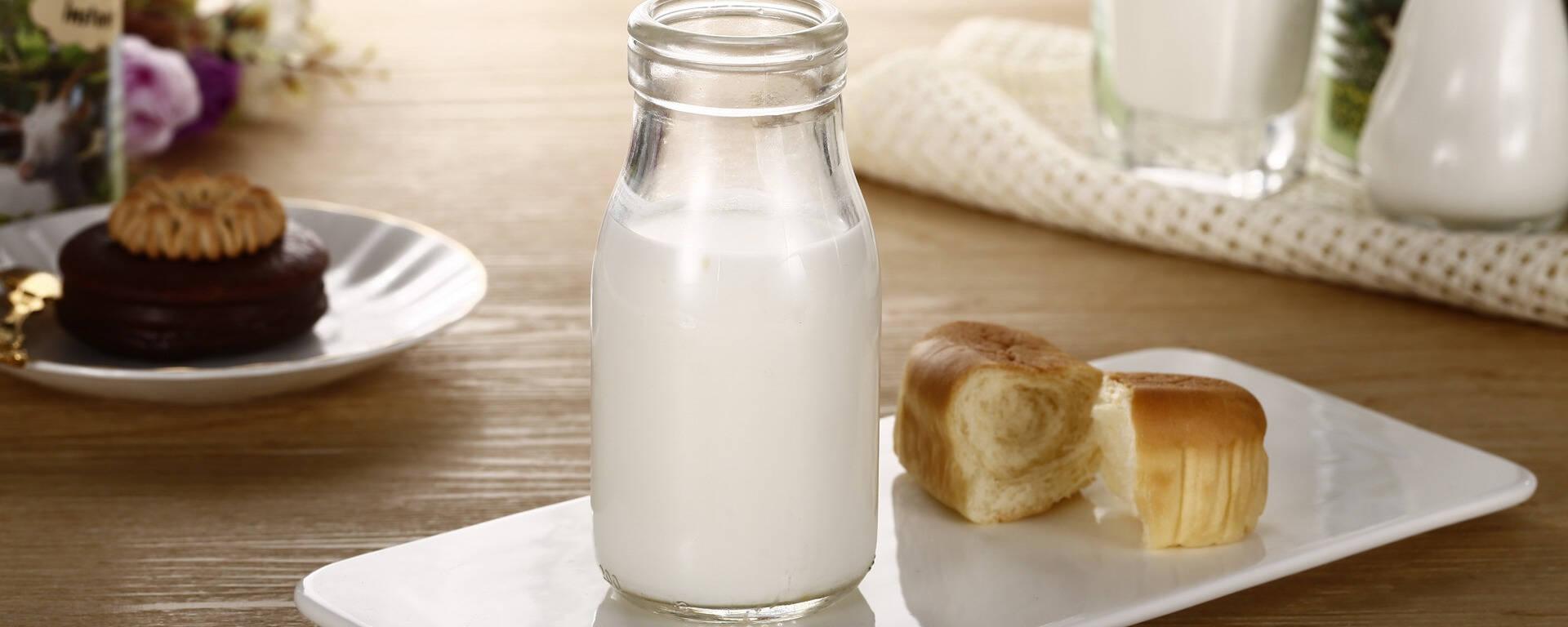高钙配方适合成年人的奶粉精选