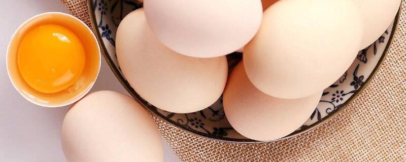 营养早餐常备的八款高蛋白鲜鸡蛋