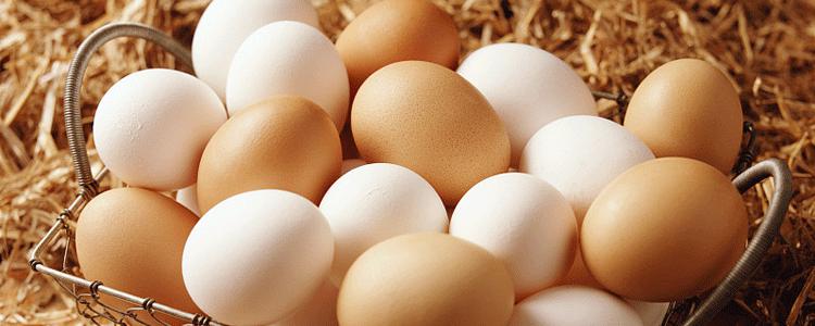 6款拥有美味与营养的新鲜鸡蛋