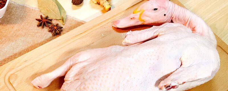 科学喂养肉质细腻的整鸭精选