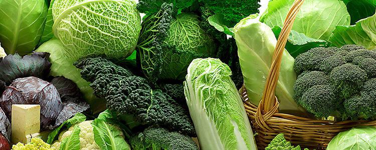 十款有机绿色蔬菜吃出苗条身段
