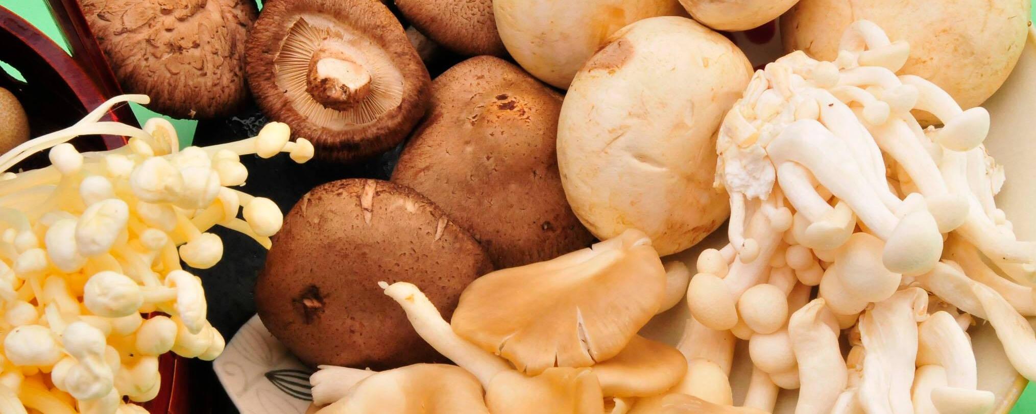 十款营养丰富的菌菇类食材推荐
