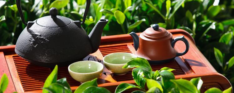 10款降脂促消化的淡雅清香绿茶