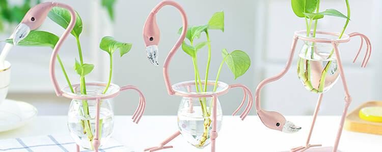 七款创意高颜值的水培植物花瓶