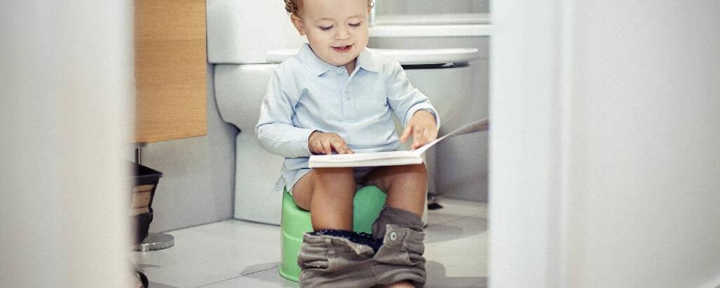 锻炼宝宝如厕能力的8款坐便器